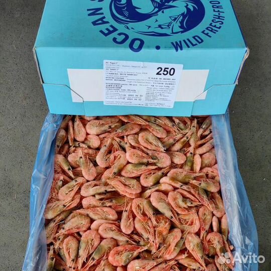 Креветка северная РФ, 250+ в/м россия