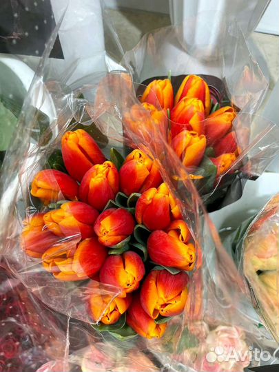 Тюльпаны розница опт