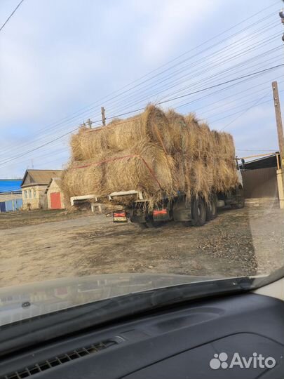 Сено в рулонах