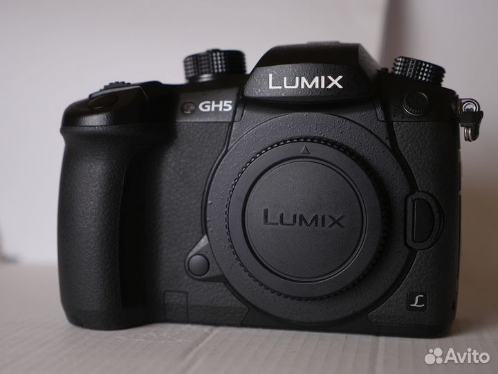 Panasonic lumix gh5