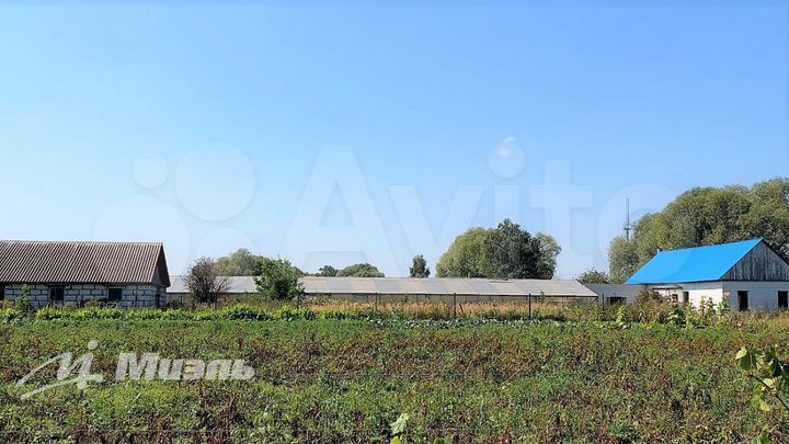 Тепличный комплекс