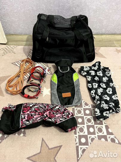 Вещи для собак