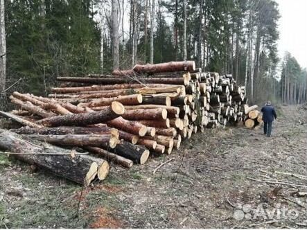 Продажа Леса
