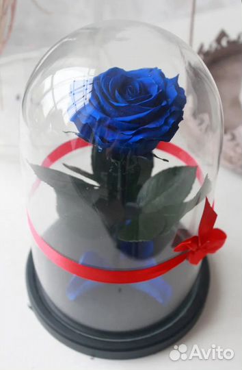 Роза в колбе. Премиум. Синий