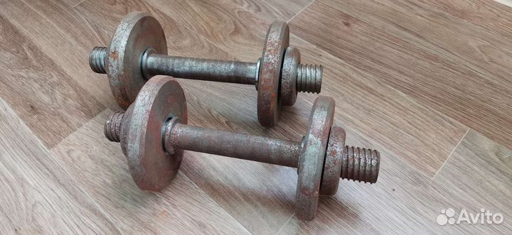 Гантели разборные