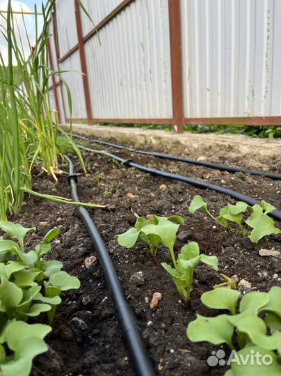 Системы автоматического полива,автополив