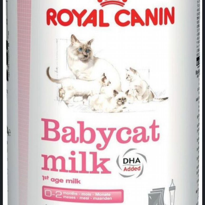 Royal Canin Babycat Заменитель кошачьего молок