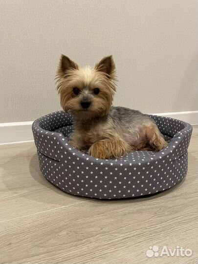 Лежанка для животных