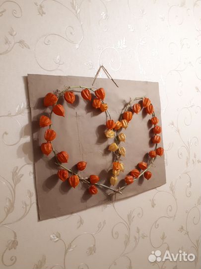 Физалис декоративный. Сердечко. Сухоцвет