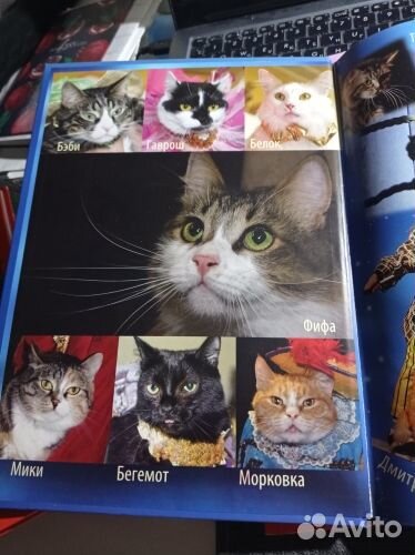 Юрий Куклачев Уроки доброты, за 3 книги