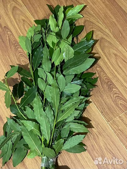 Лавровый лист оптом