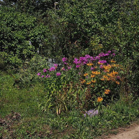 Участок 8,1 сот. (ИЖС)