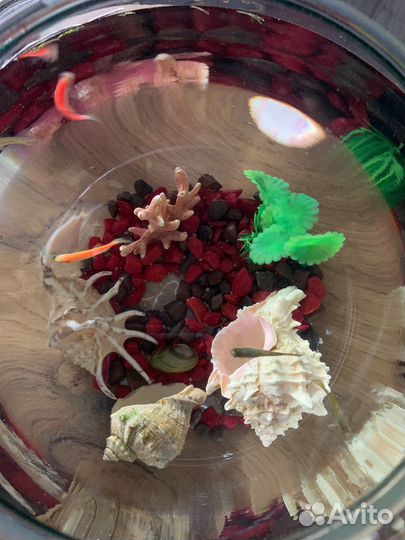 Аквариум с рыбками