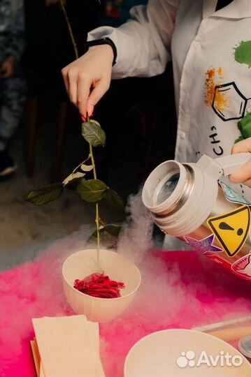 Аниматоры химическое шоу