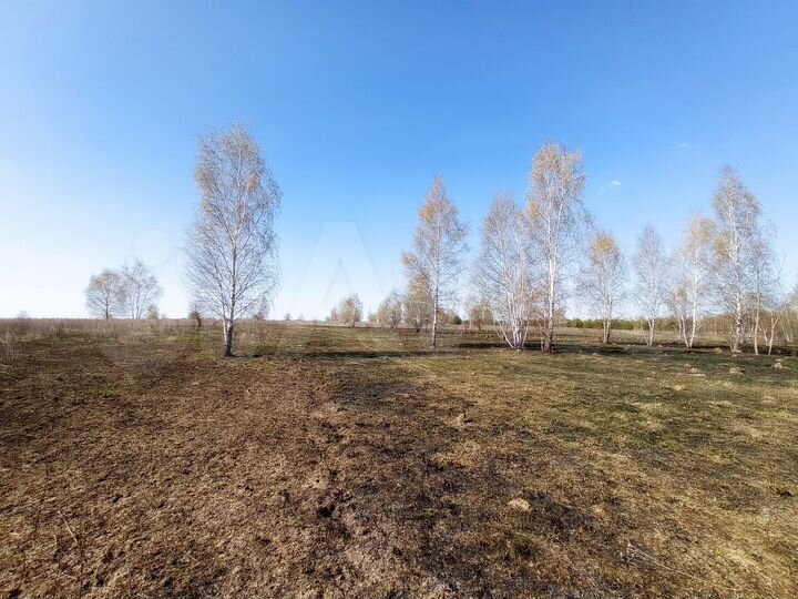 Участок 15,64 га (СНТ, ДНП)