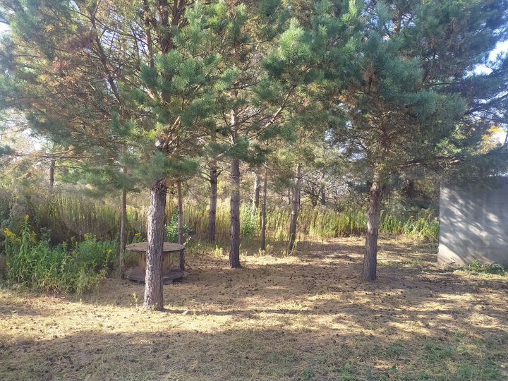 Участок 9,4 сот. (СНТ, ДНП)