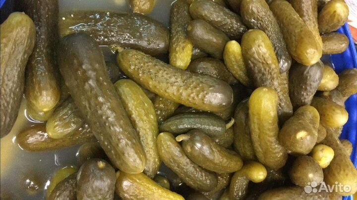 Бочковые соленья. Огурцы, помидоры солёные