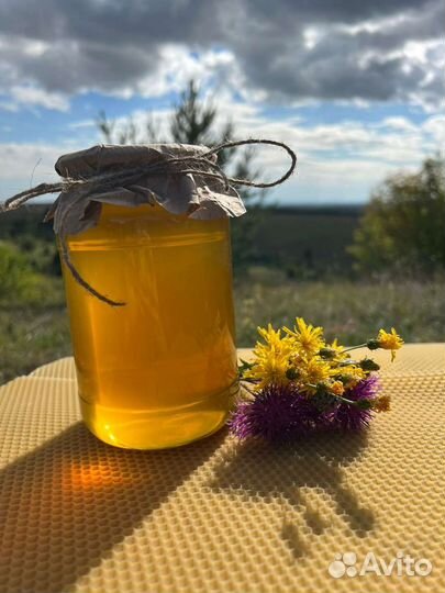 Мёд лесной 2023 года