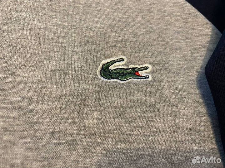 Свитшот lacoste — утепленный