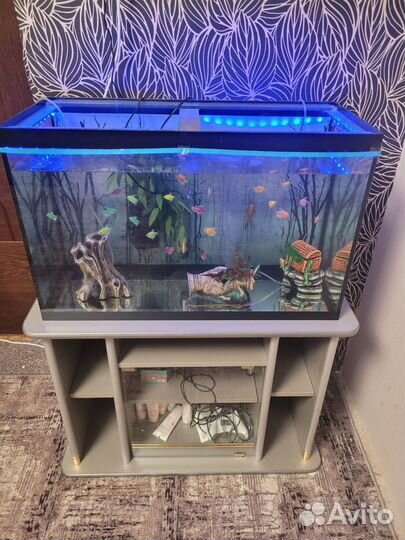 Аквариум