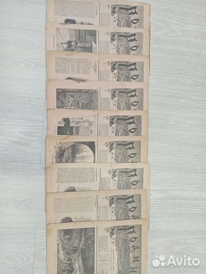 Журнал Родина, 1900 г