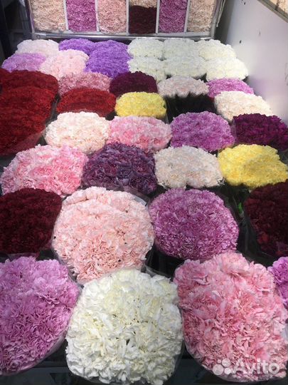 Гвоздика, цветы гвоздики, букет гвоздик