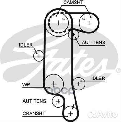 Ремень грм LCV 5565XS Gates