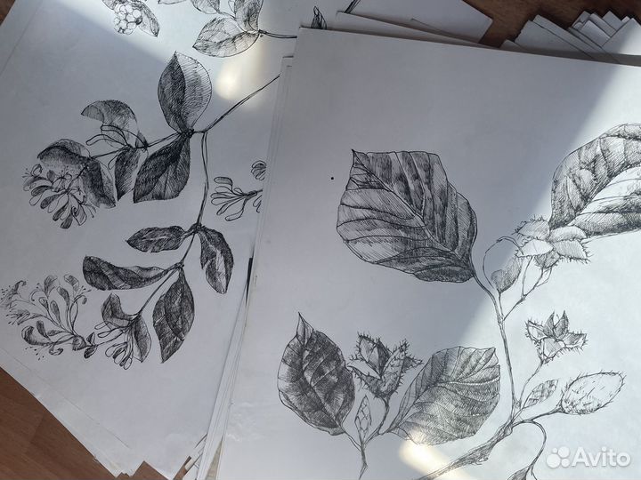 Алоэ Картина графика тушь постер зарисовка