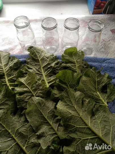 Свежий сок лопуха с мёдом 1/1