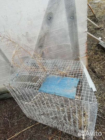 Клетки для кроликов