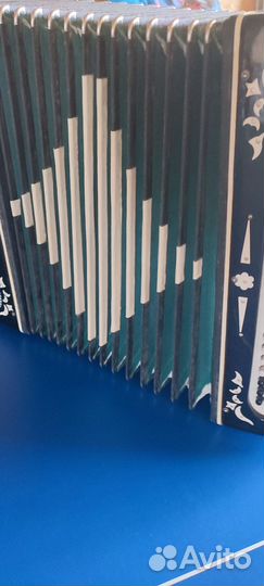 Баян беларусь