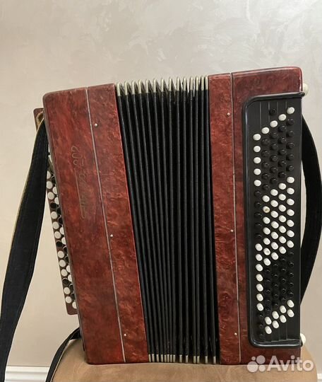 Баян тула 202