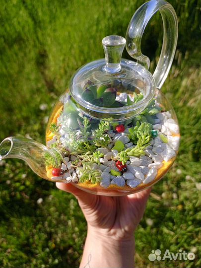 Флорариум в чайнике