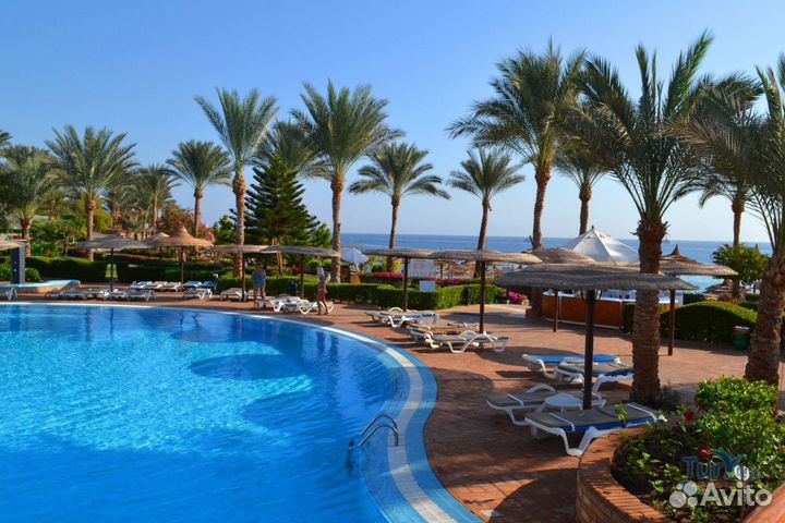 Тур в Египет из Калининграда