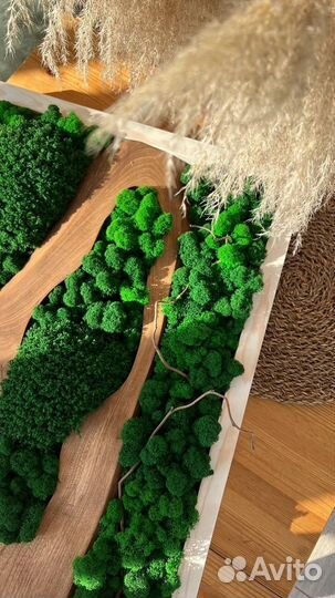 Панели из стабилизированного мха