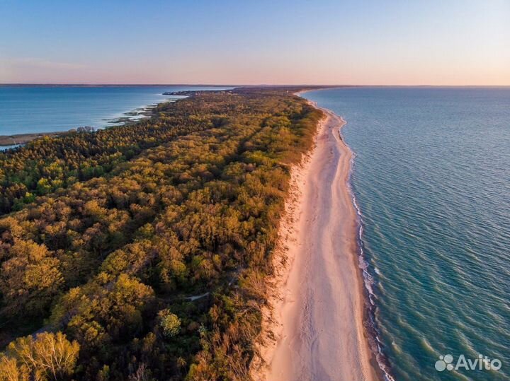 Куршская коса. Индивидуальная экскурсия и отдых