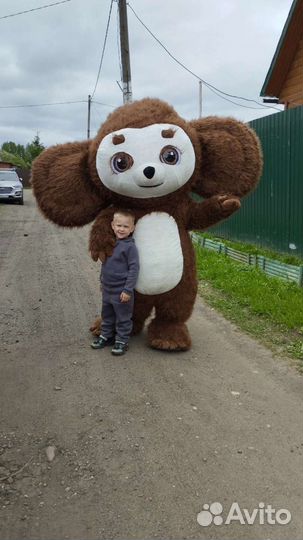 Поздравление от ушастика