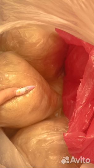 Собачья шерсть и пух