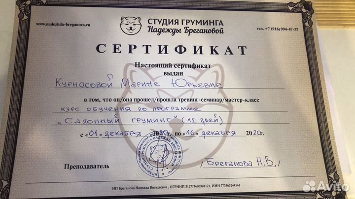 Стрижка собак