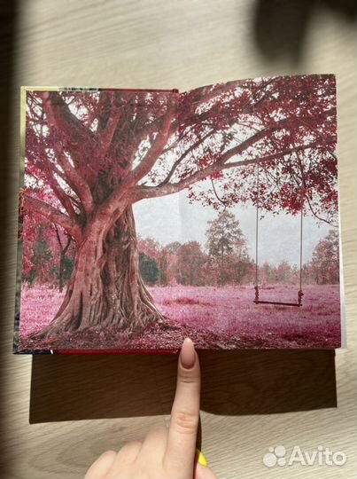 Книга «Девочка в красном пальто» - Кейт Хэмер