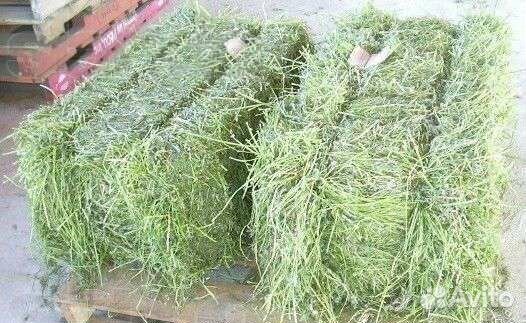 Сено в тюках