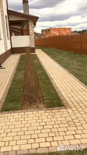 Рулонный газон