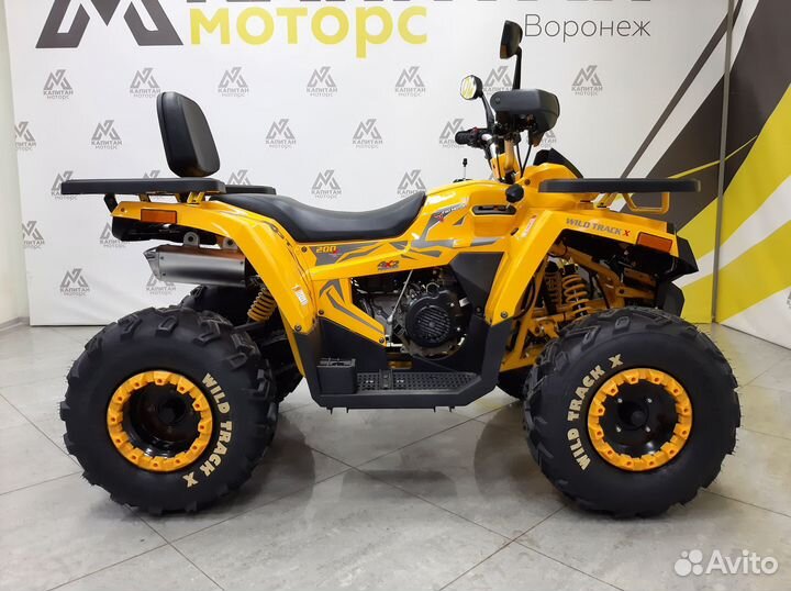 Квадроцикл Motoland 200 wild track X