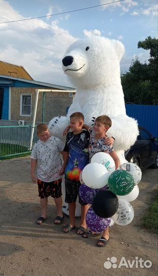 Поздравление от Пушистого медведя