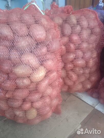 Продам картофель домашний