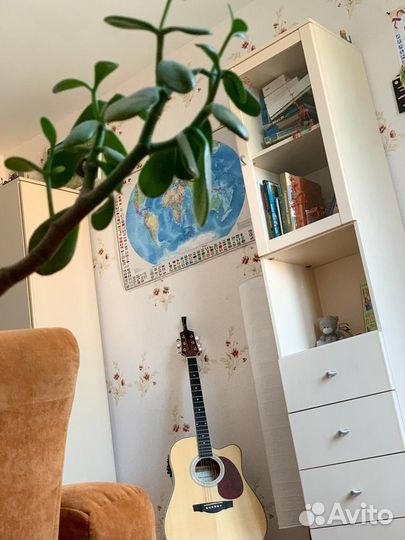 Мебель для детей или молодежи Дятьково Октавия