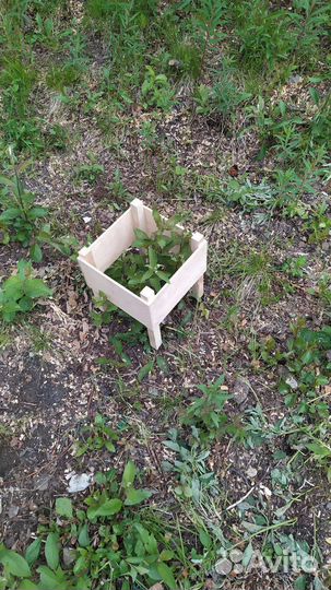 Клумба садовая