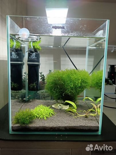 Дерево из мха для аквариума