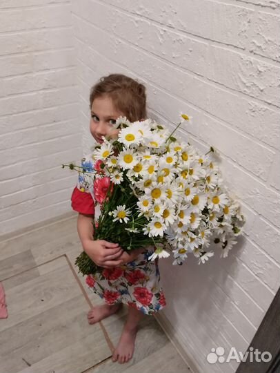 Букет из ромашек