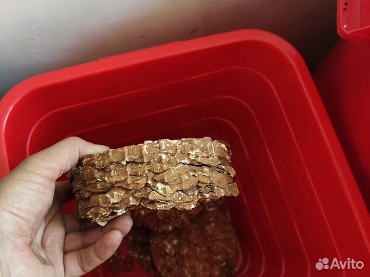 Сыродавленное миндальное масло холодного отжима